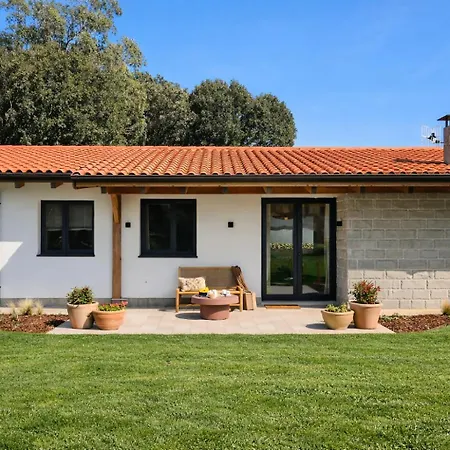 Ines - Llanes Cardoso