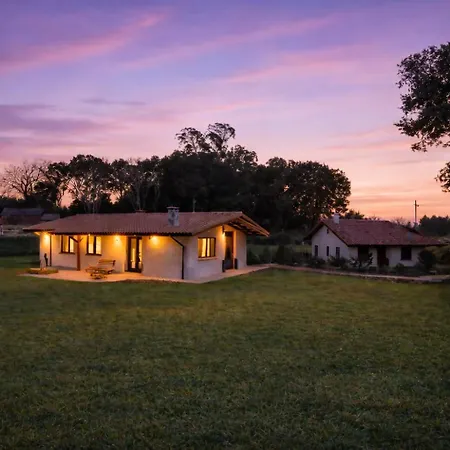 Inés – Llanes Cardoso * Hontoria